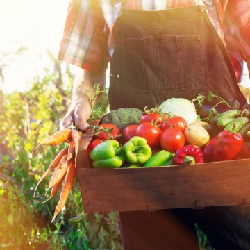 Lorum Ipsum dolor sit amet